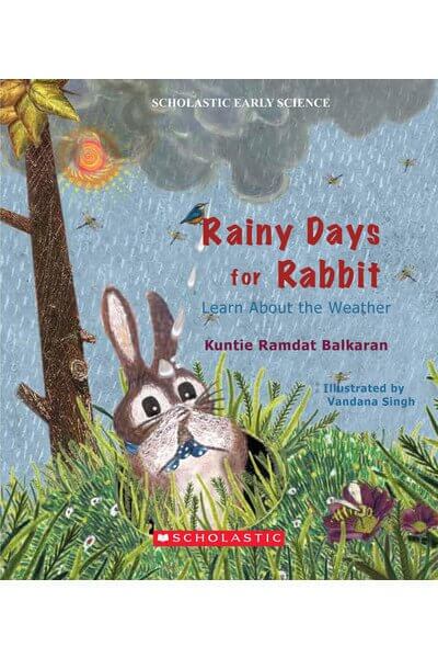 Rainy Days For Rabbit: Learn About The Weather