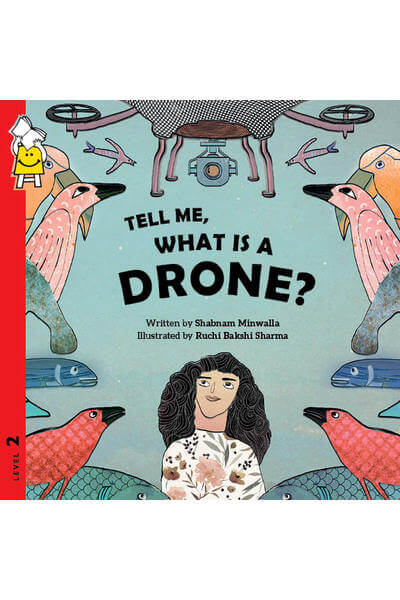 Tell Me, What is a Drone?