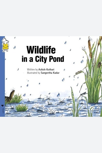 Wildlife In A City Pond