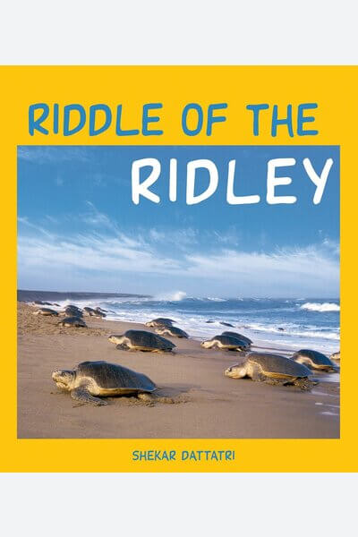 Riddle of the Ridley