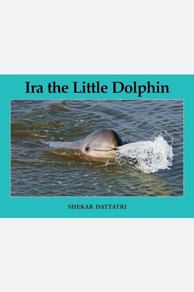 Ira The Little Dolphin