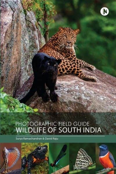 Photographic Field Guide: Wildlife of South India