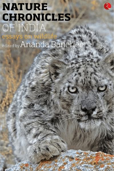 Nature Chronicles of India: Essays on Wildlife