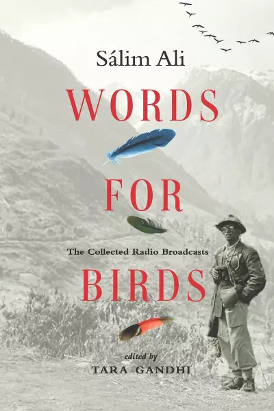 Words for Birds