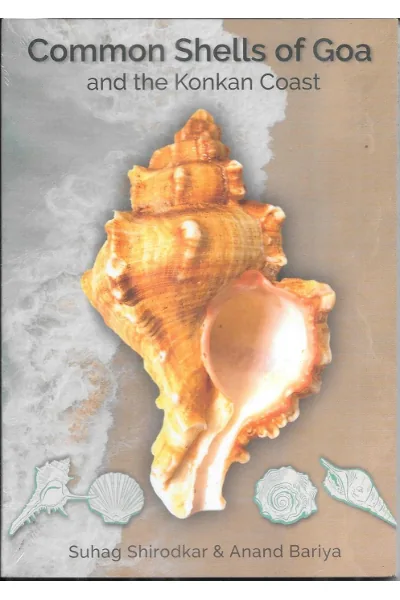 Common Shells of Goa and the Konkan Coast