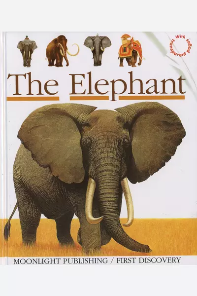 The Elephant